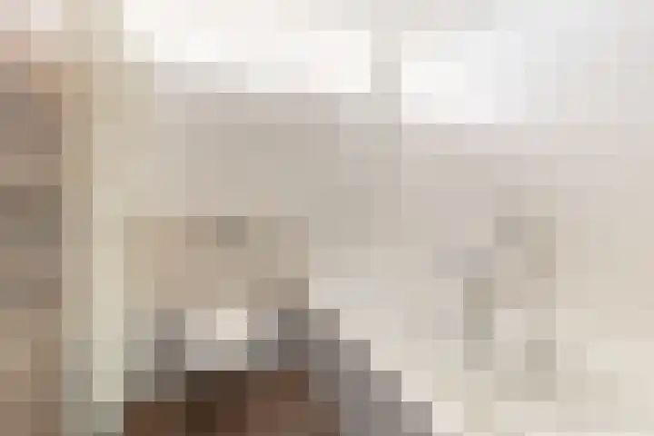 Elisabethhof 42 Oostvoorne thumbnail 25
