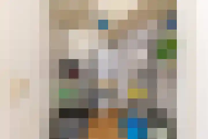 Elisabethhof 42 Oostvoorne thumbnail 27