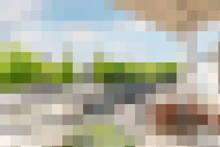 Elisabethhof 42 Oostvoorne thumbnail 28