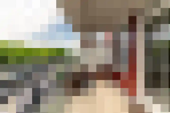Elisabethhof 42 Oostvoorne thumbnail 29