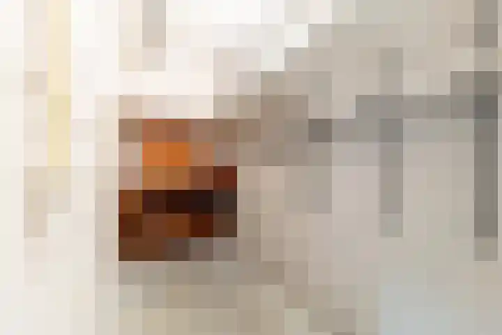 Elisabethhof 42 Oostvoorne thumbnail 30