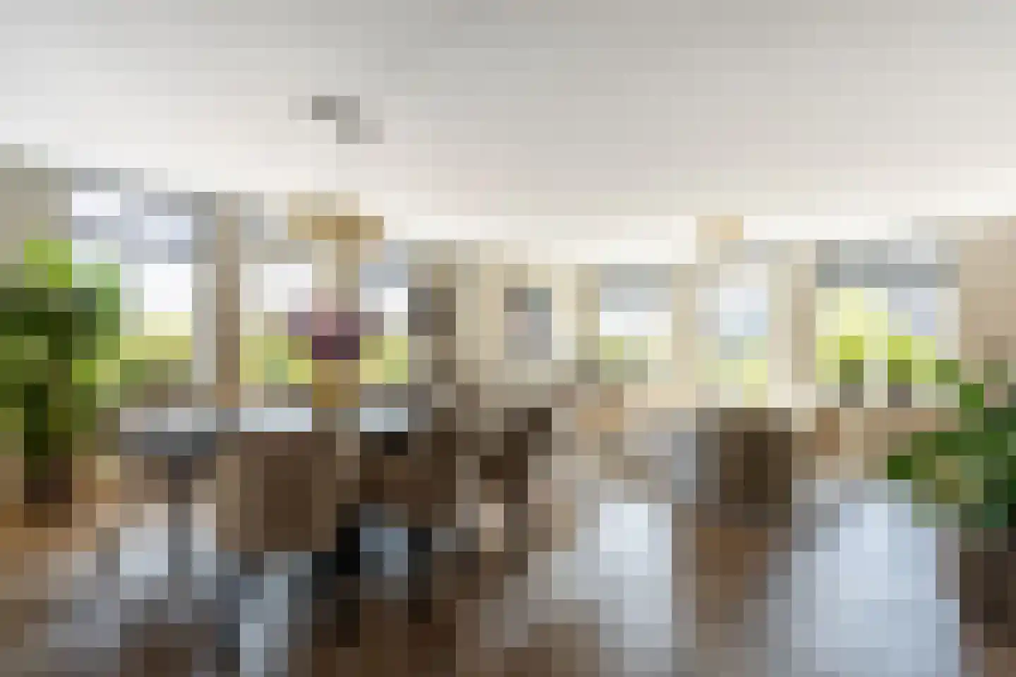 Elisabethhof 53 Oostvoorne thumbnail 10