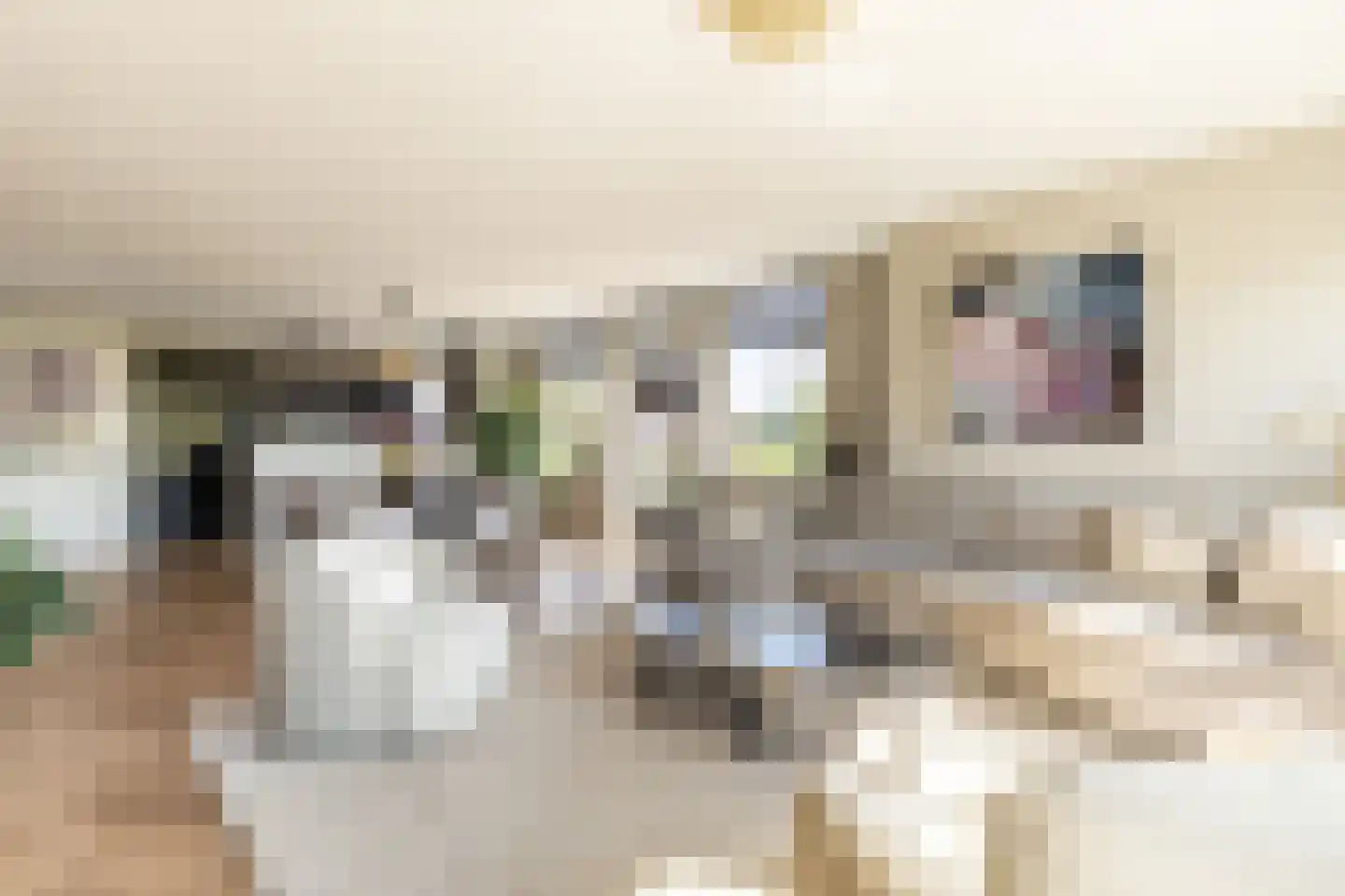 Elisabethhof 53 Oostvoorne thumbnail 12