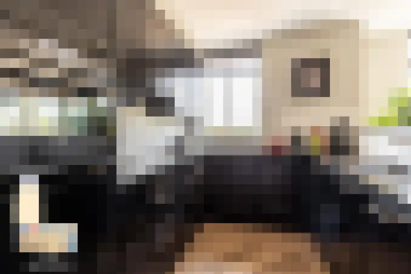 Elisabethhof 53 Oostvoorne thumbnail 16
