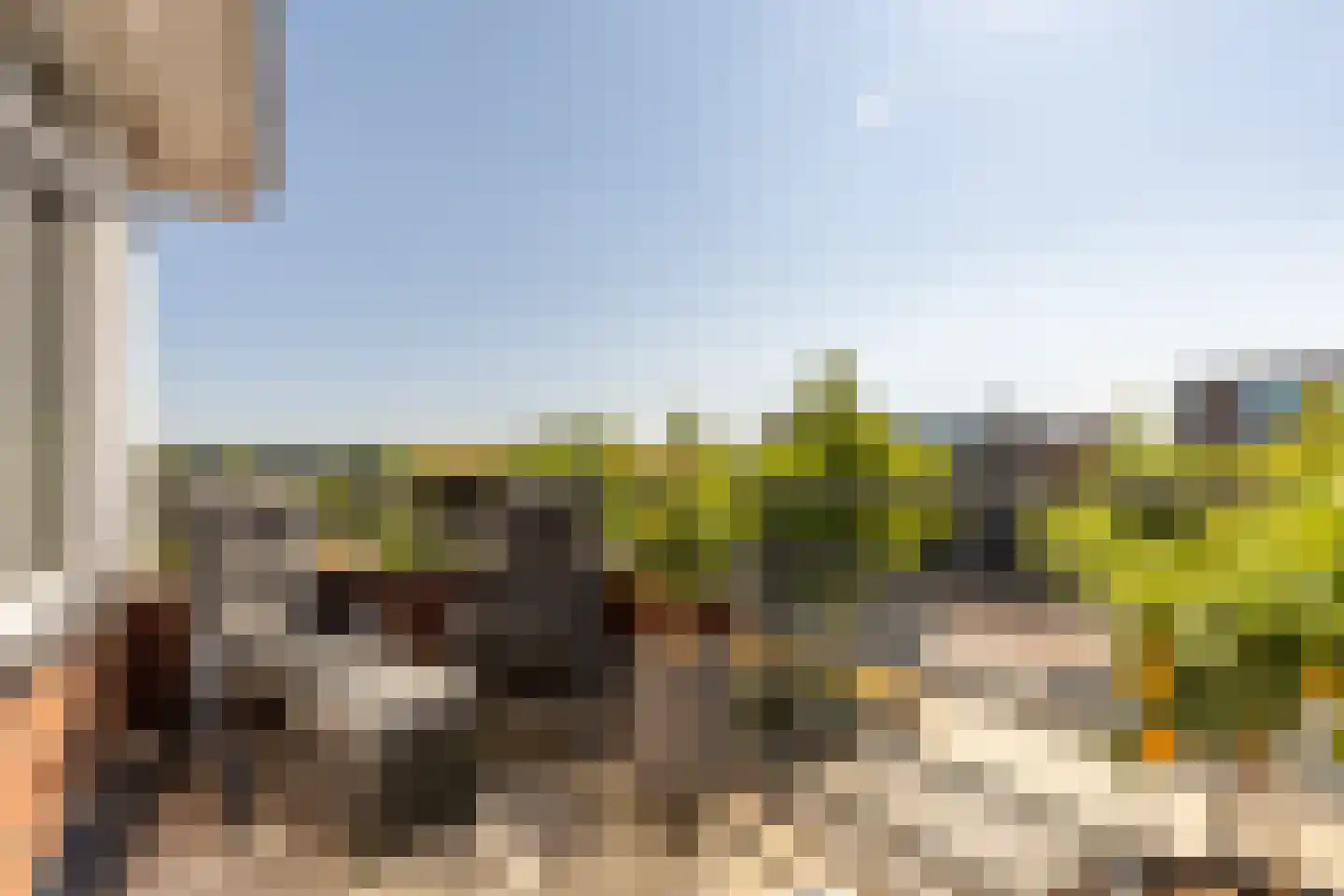 Elisabethhof 53 Oostvoorne thumbnail 23