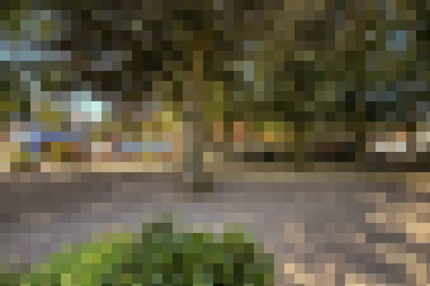 Elisabethhof 53 Oostvoorne thumbnail 32