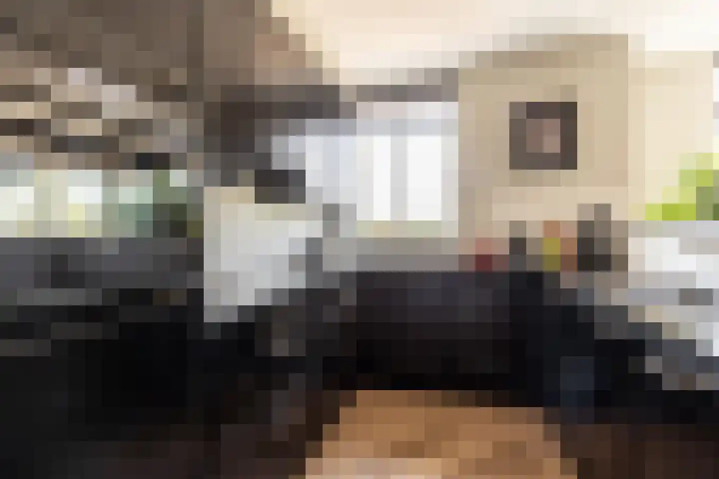 Elisabethhof 53 Oostvoorne thumbnail 4