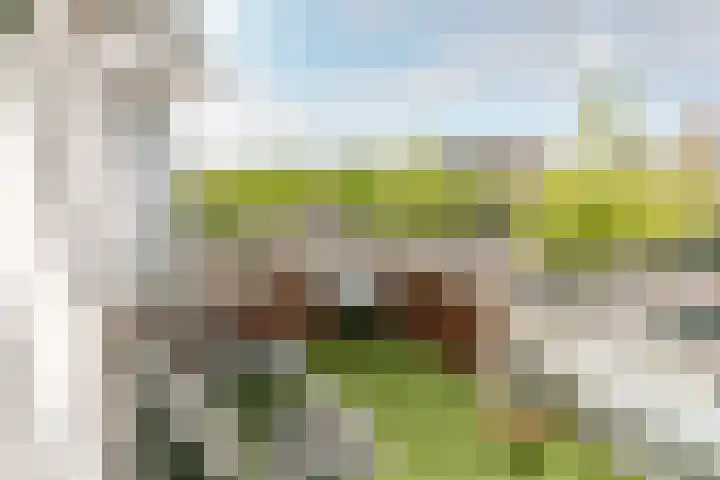 Elisabethhof 57 Oostvoorne thumbnail 14
