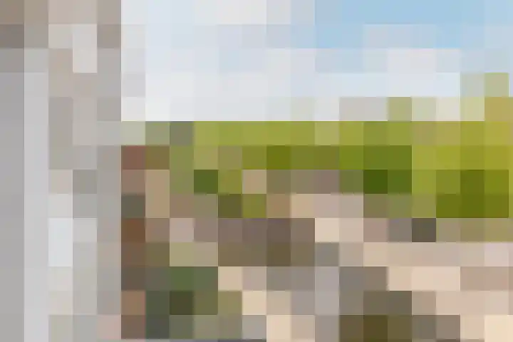 Elisabethhof 57 Oostvoorne thumbnail 15