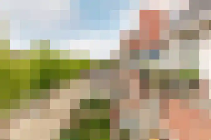 Elisabethhof 57 Oostvoorne thumbnail 16