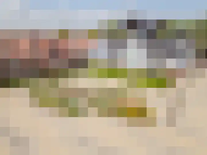 Elisabethhof 57 Oostvoorne thumbnail 6