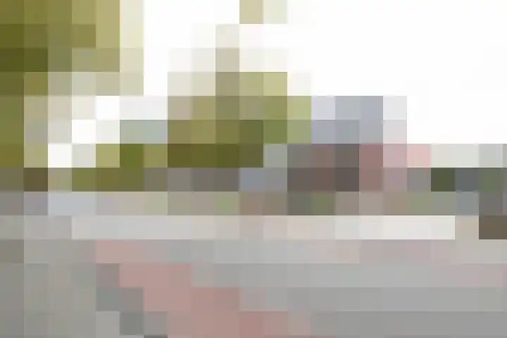 Elisabethhof 63 a Oostvoorne thumbnail 13