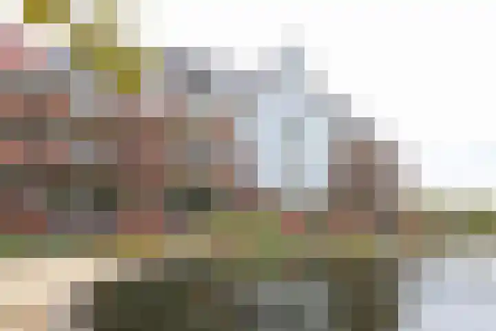 Elisabethhof 63 a Oostvoorne thumbnail 17