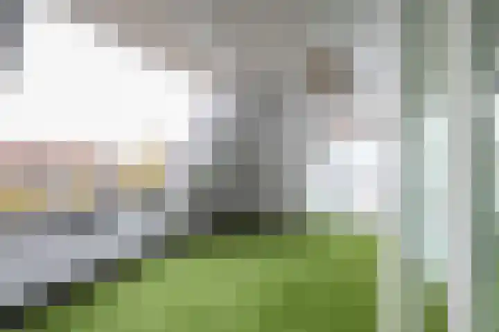 Elisabethhof 63 a Oostvoorne thumbnail 19