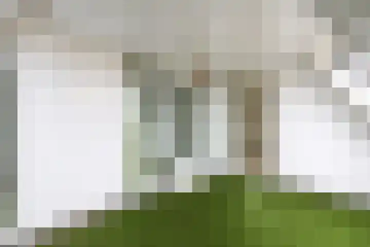 Elisabethhof 63 a Oostvoorne thumbnail 20
