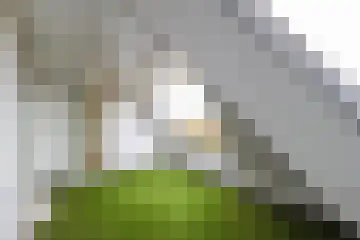 Elisabethhof 63 a Oostvoorne thumbnail 21