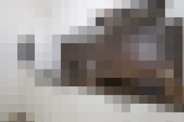 Elisabethhof 63 a Oostvoorne thumbnail 30