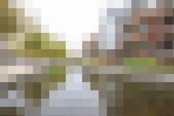 Elisabethhof 63 a Oostvoorne thumbnail 9