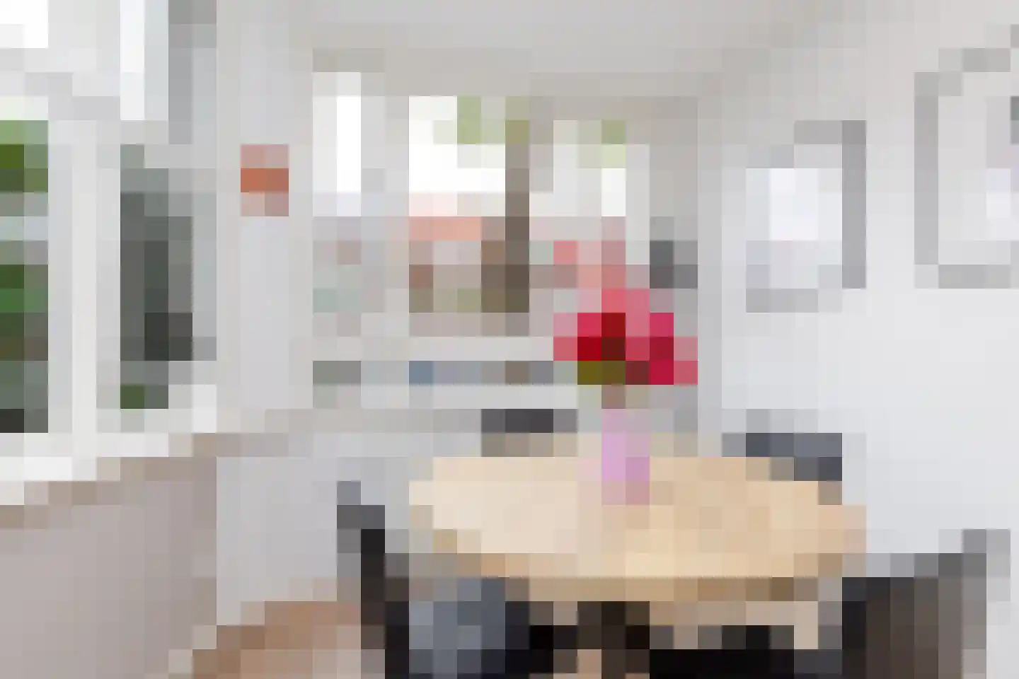 Elisabethlaan 1 Rotterdam thumbnail 13