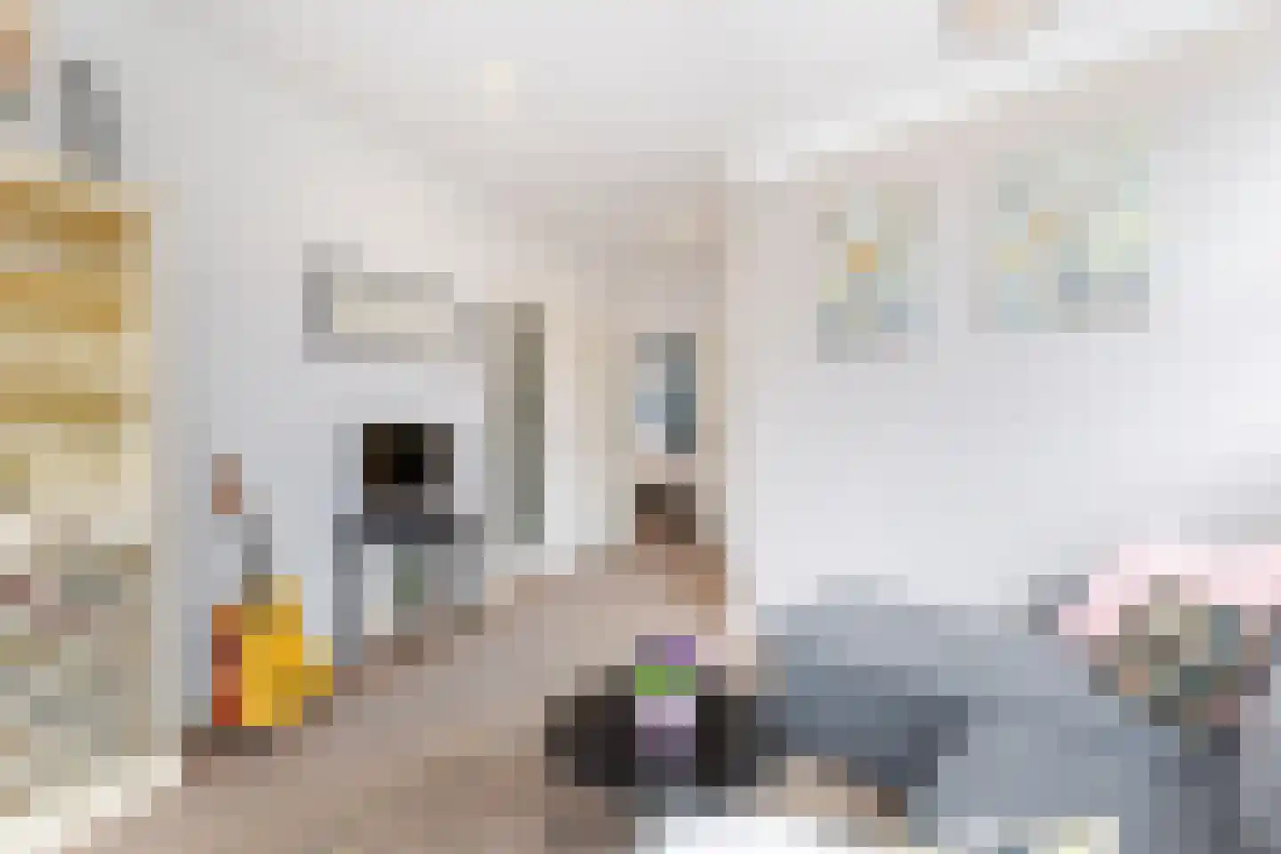 Elisabethlaan 1 Rotterdam thumbnail 14