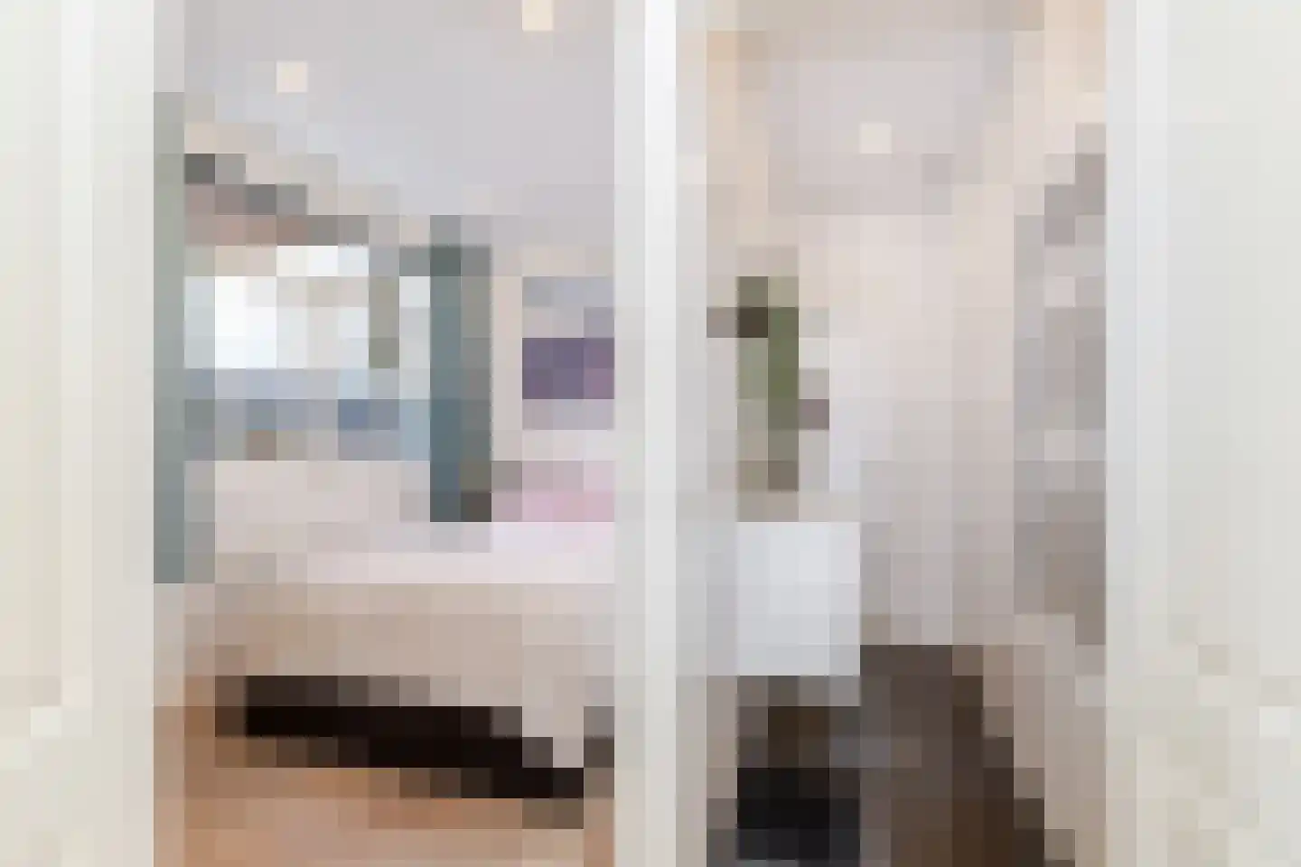 Elisabethlaan 1 Rotterdam thumbnail 15