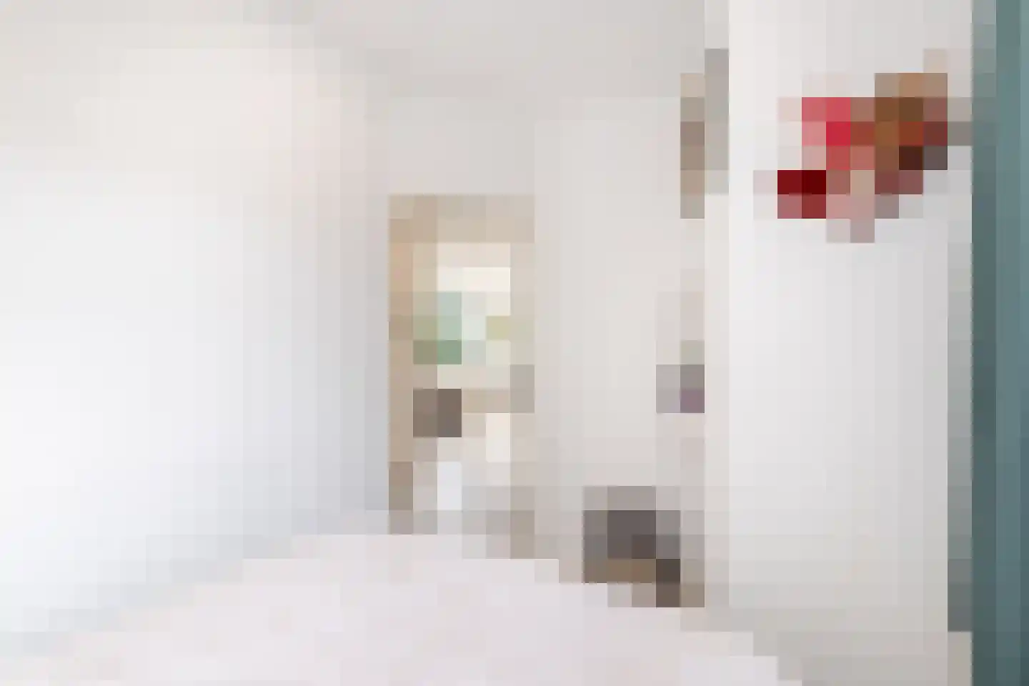 Elisabethlaan 1 Rotterdam thumbnail 17
