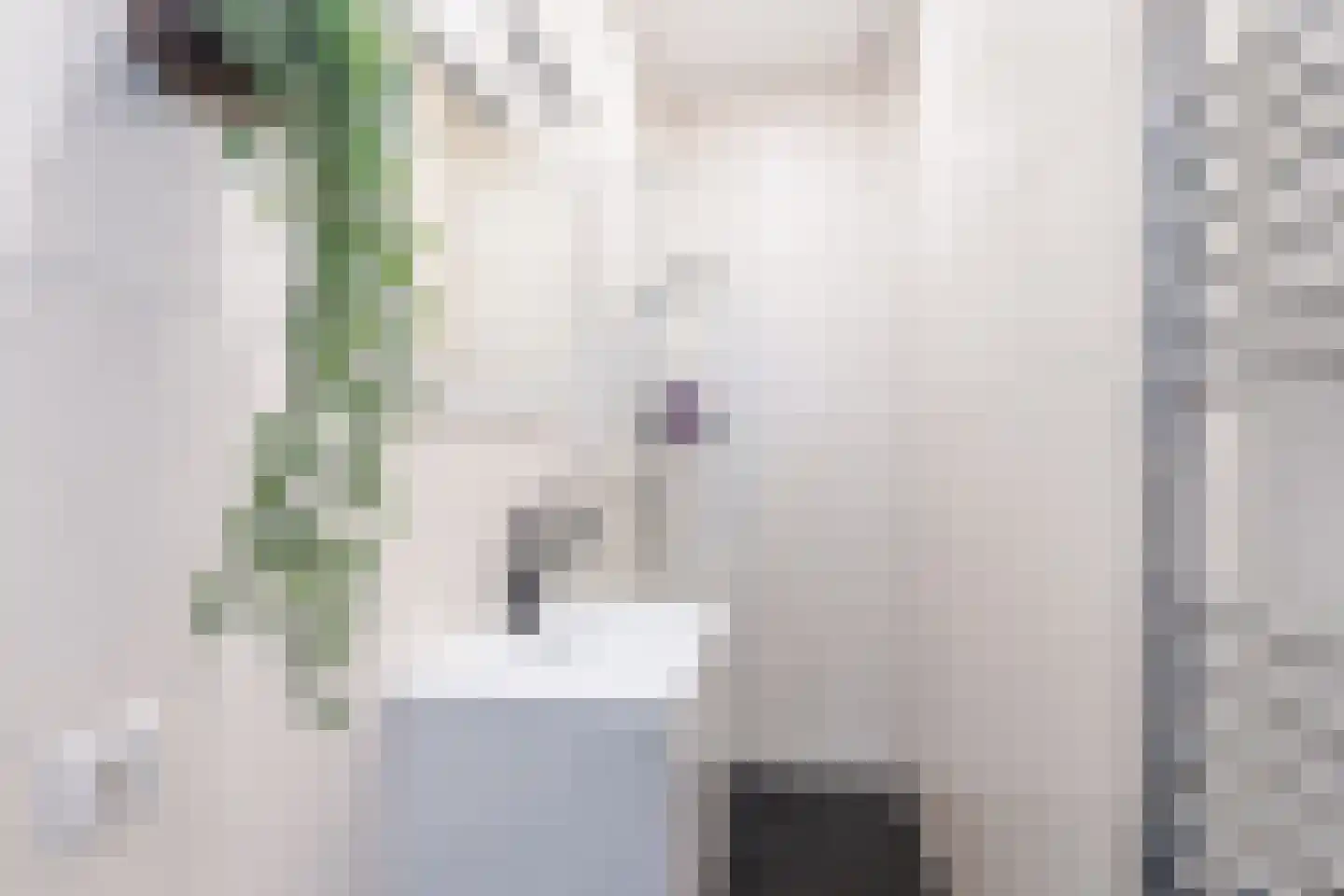 Elisabethlaan 1 Rotterdam thumbnail 18
