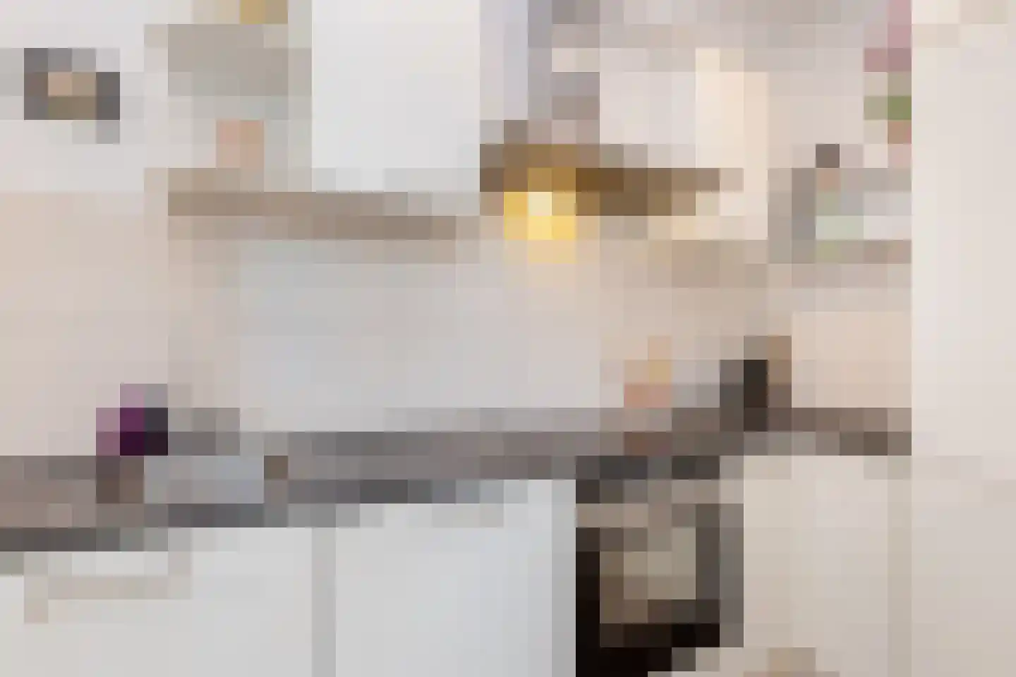 Elisabethlaan 1 Rotterdam thumbnail 20