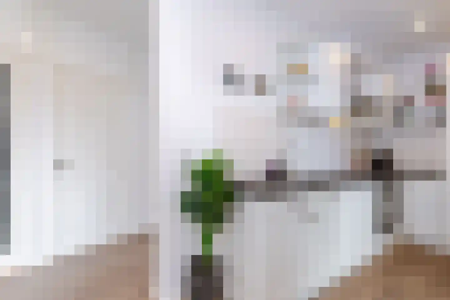 Elisabethlaan 1 Rotterdam thumbnail 22
