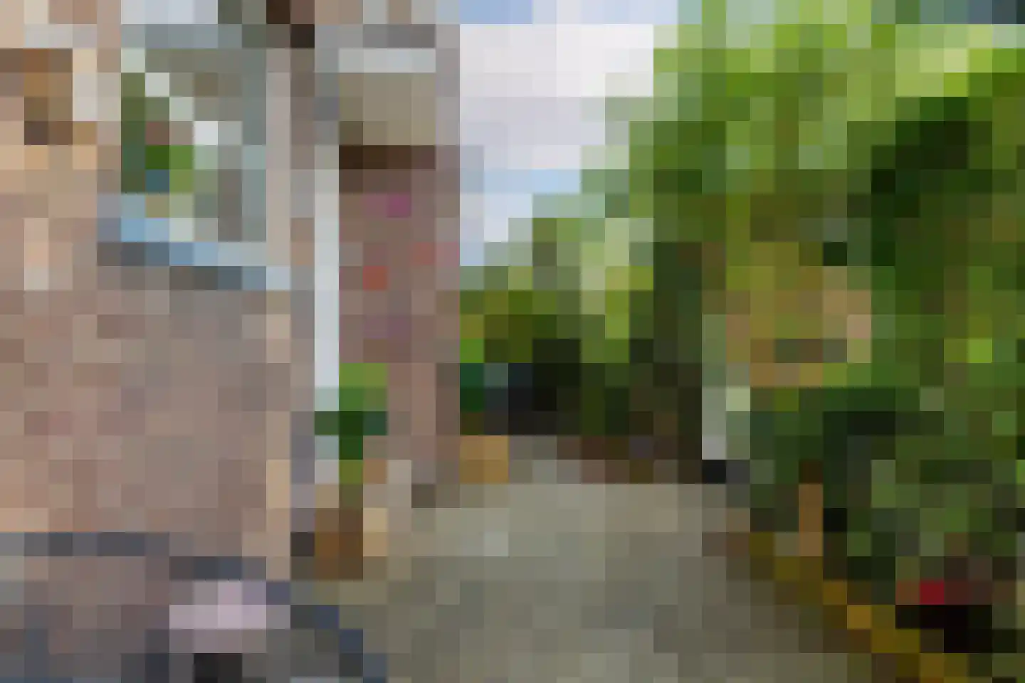 Elisabethlaan 1 Rotterdam thumbnail 27