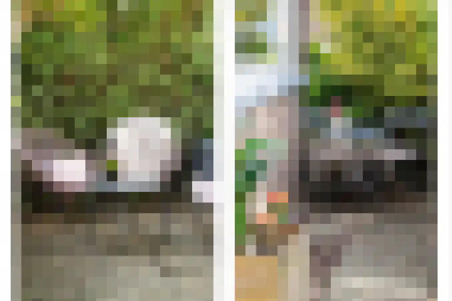 Elisabethlaan 1 Rotterdam thumbnail 28