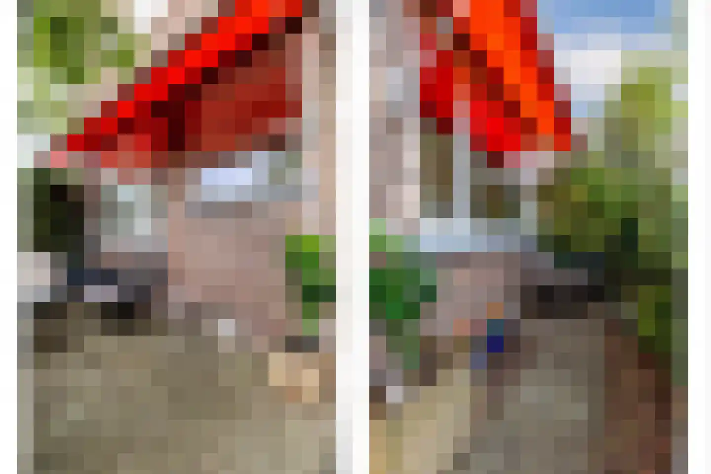 Elisabethlaan 1 Rotterdam thumbnail 34