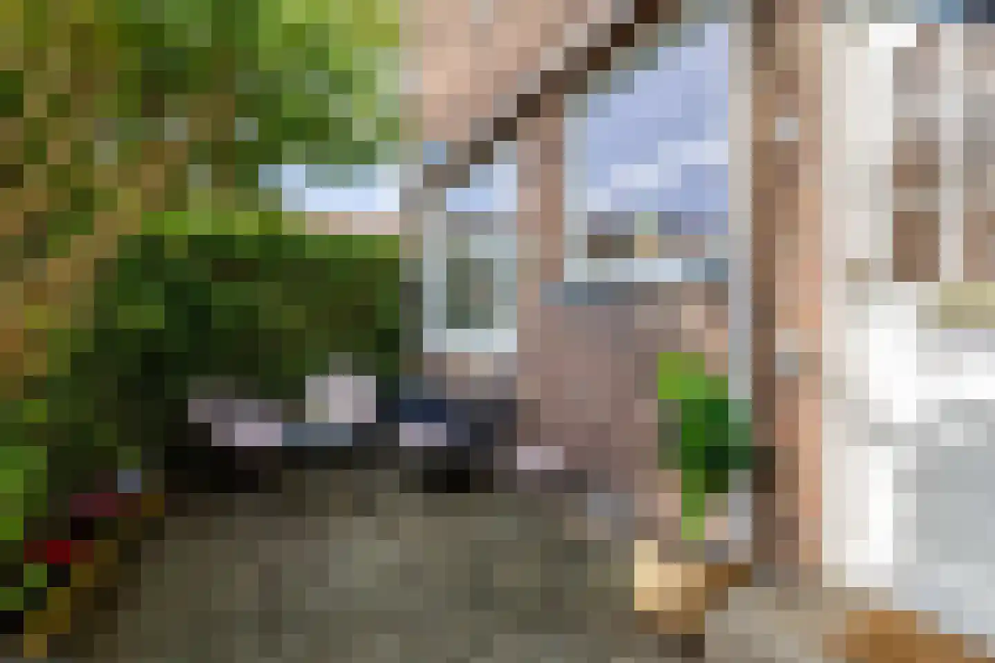 Elisabethlaan 1 Rotterdam thumbnail 7