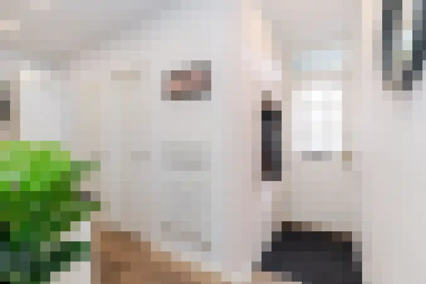 Elisabethlaan 1 Rotterdam thumbnail 8