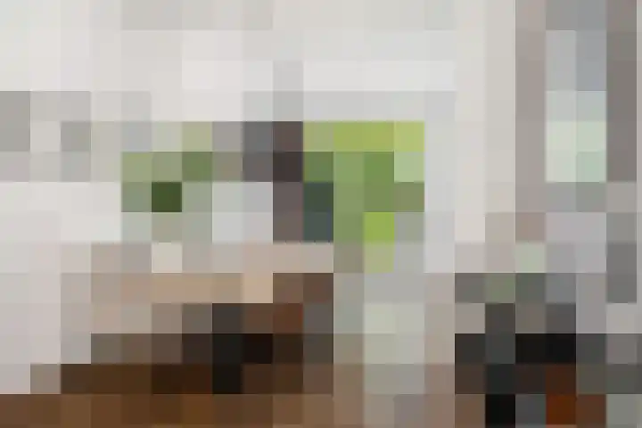Elisabethlaan 10 Rotterdam thumbnail 12