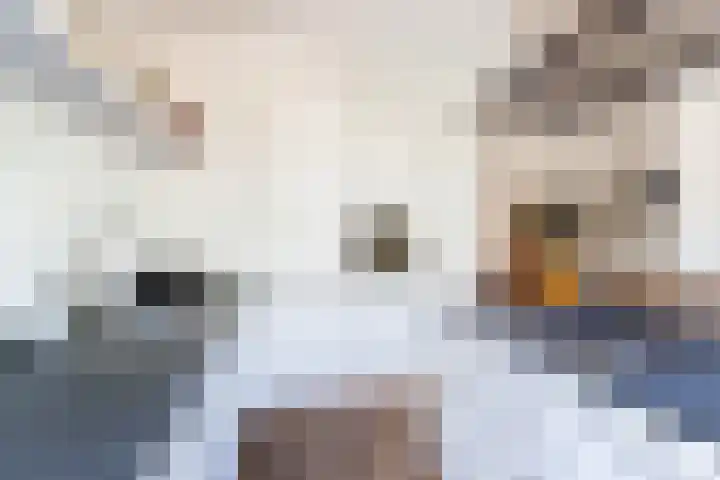 Elisabethlaan 10 Rotterdam thumbnail 16