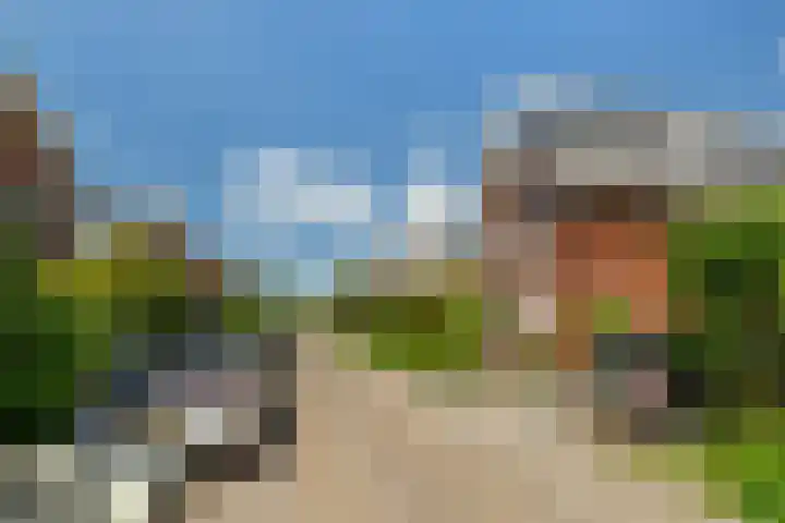Elisabethlaan 10 Rotterdam thumbnail 39