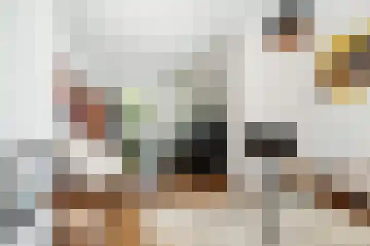 Elisabethlaan 10 Rotterdam thumbnail 9