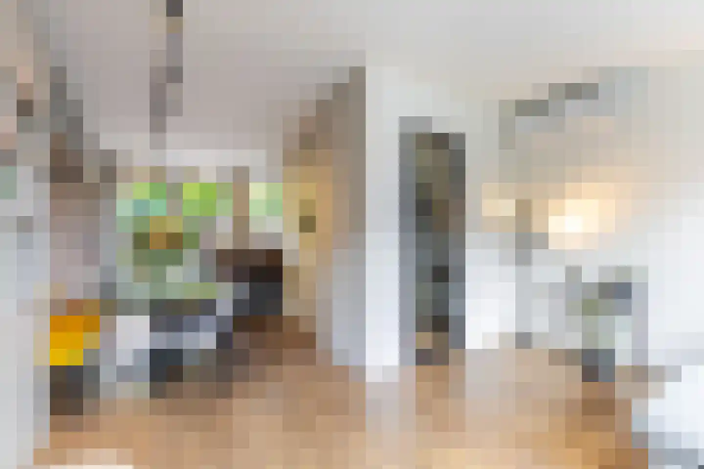 Elisabethlaan 2 Rotterdam thumbnail 11