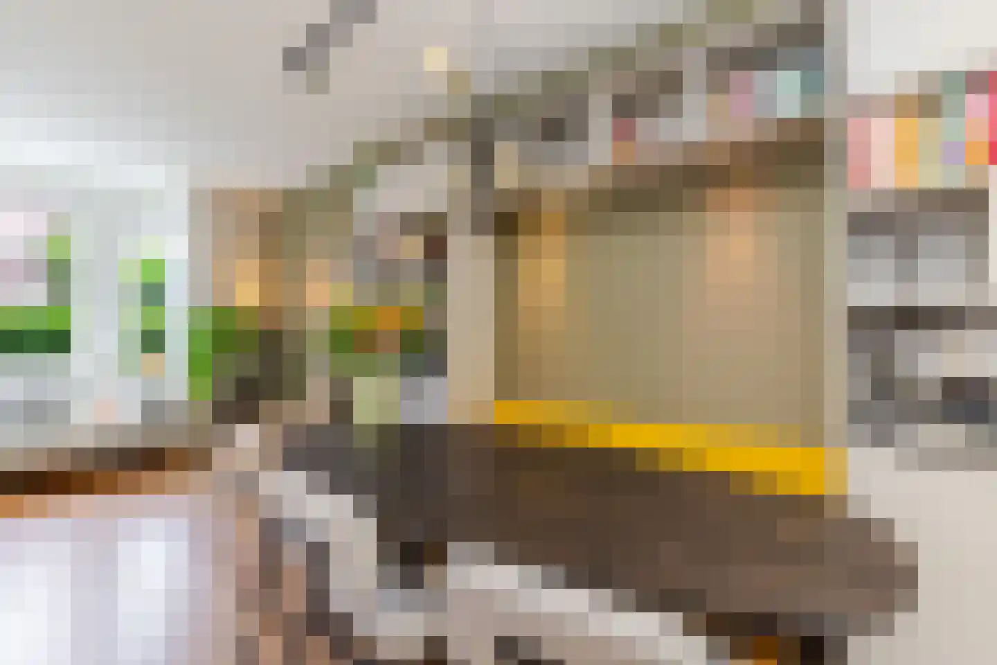 Elisabethlaan 2 Rotterdam thumbnail 16