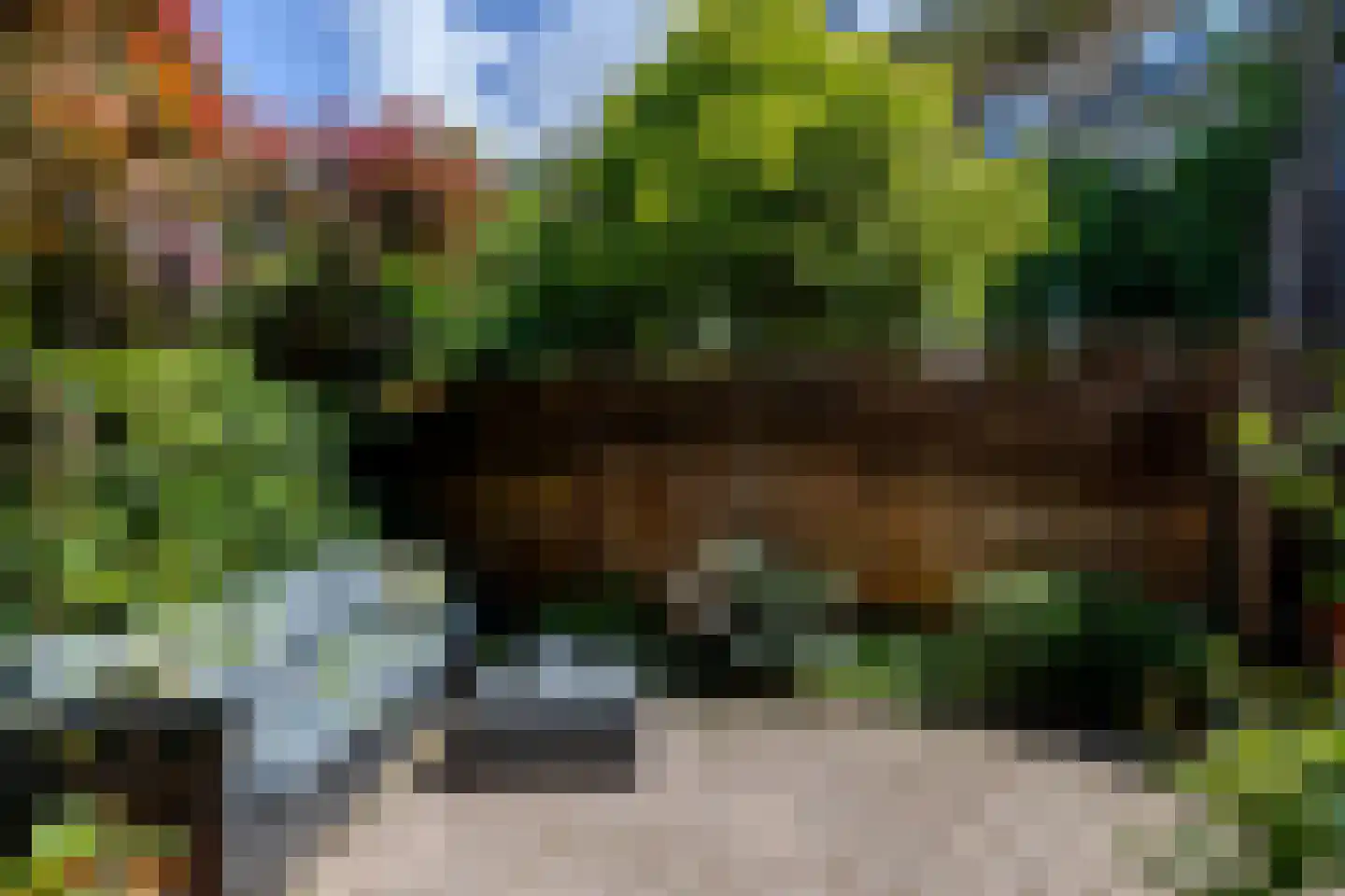 Elisabethlaan 2 Rotterdam thumbnail 24