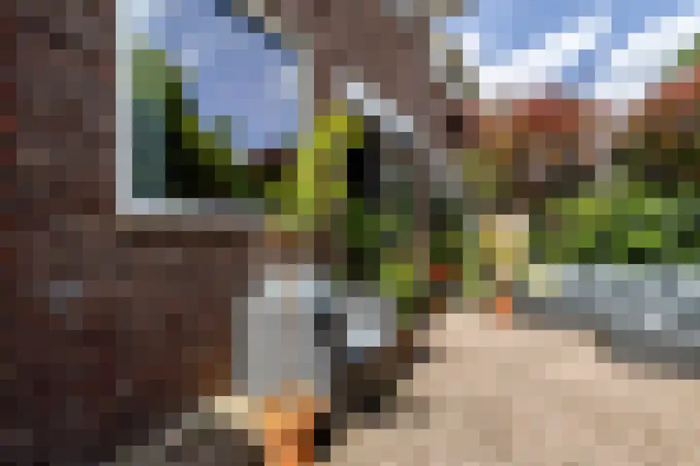 Elisabethlaan 2 Rotterdam thumbnail 25