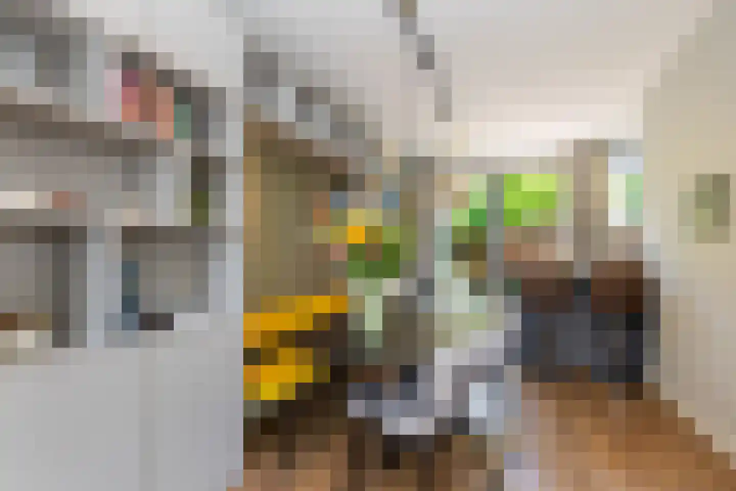 Elisabethlaan 2 Rotterdam thumbnail 27