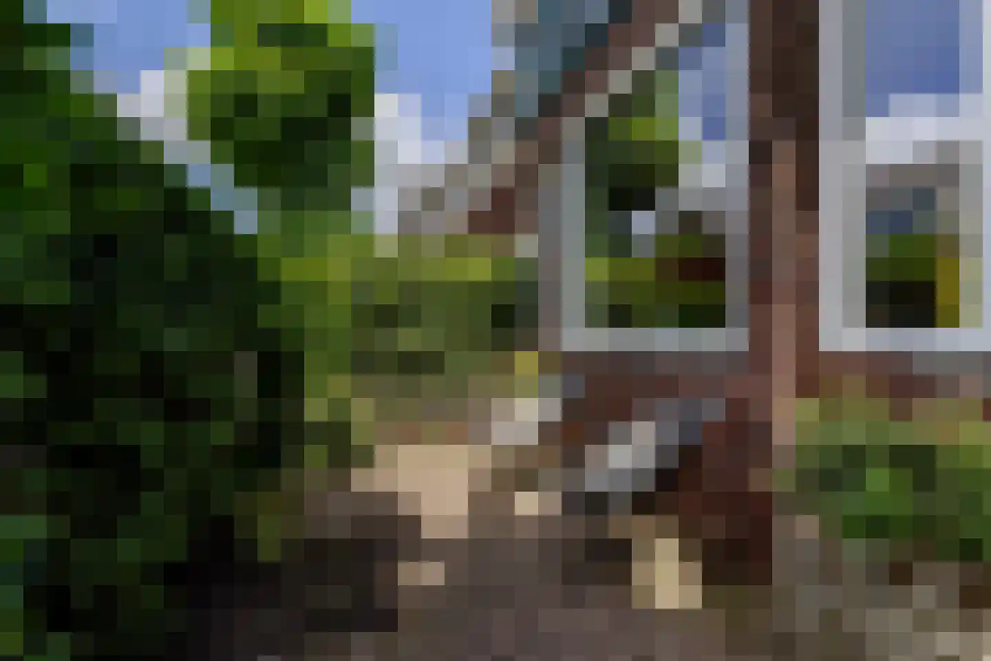 Elisabethlaan 2 Rotterdam thumbnail 33