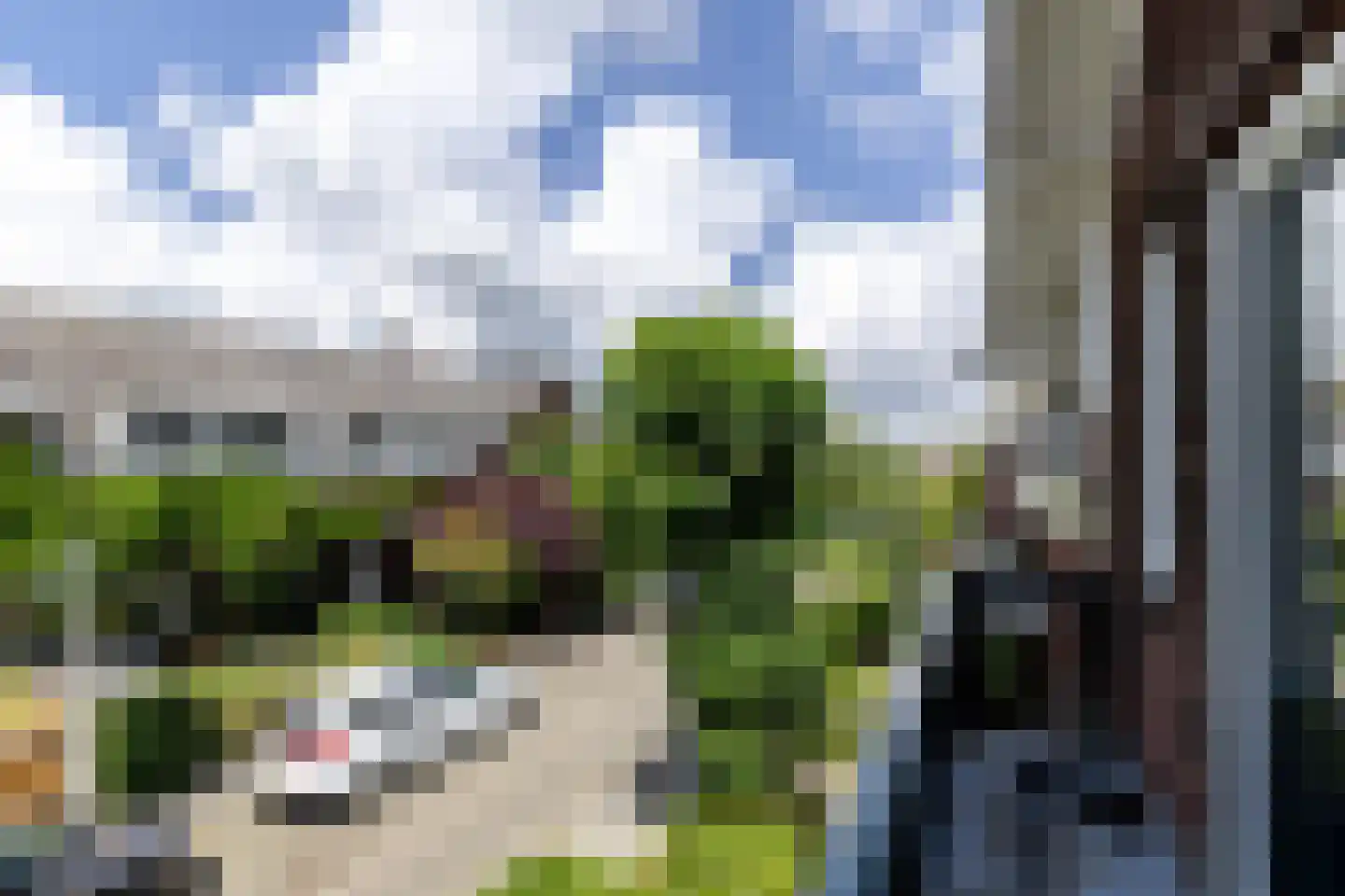 Elisabethlaan 2 Rotterdam thumbnail 34