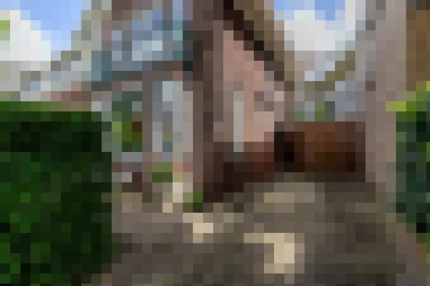 Elisabethlaan 2 Rotterdam thumbnail 6