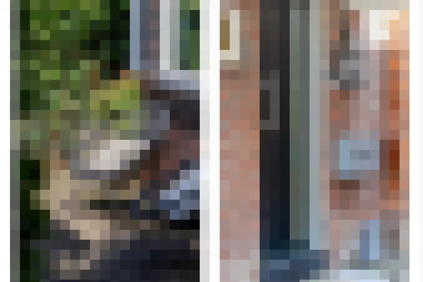 Elisabethlaan 2 Rotterdam thumbnail 7