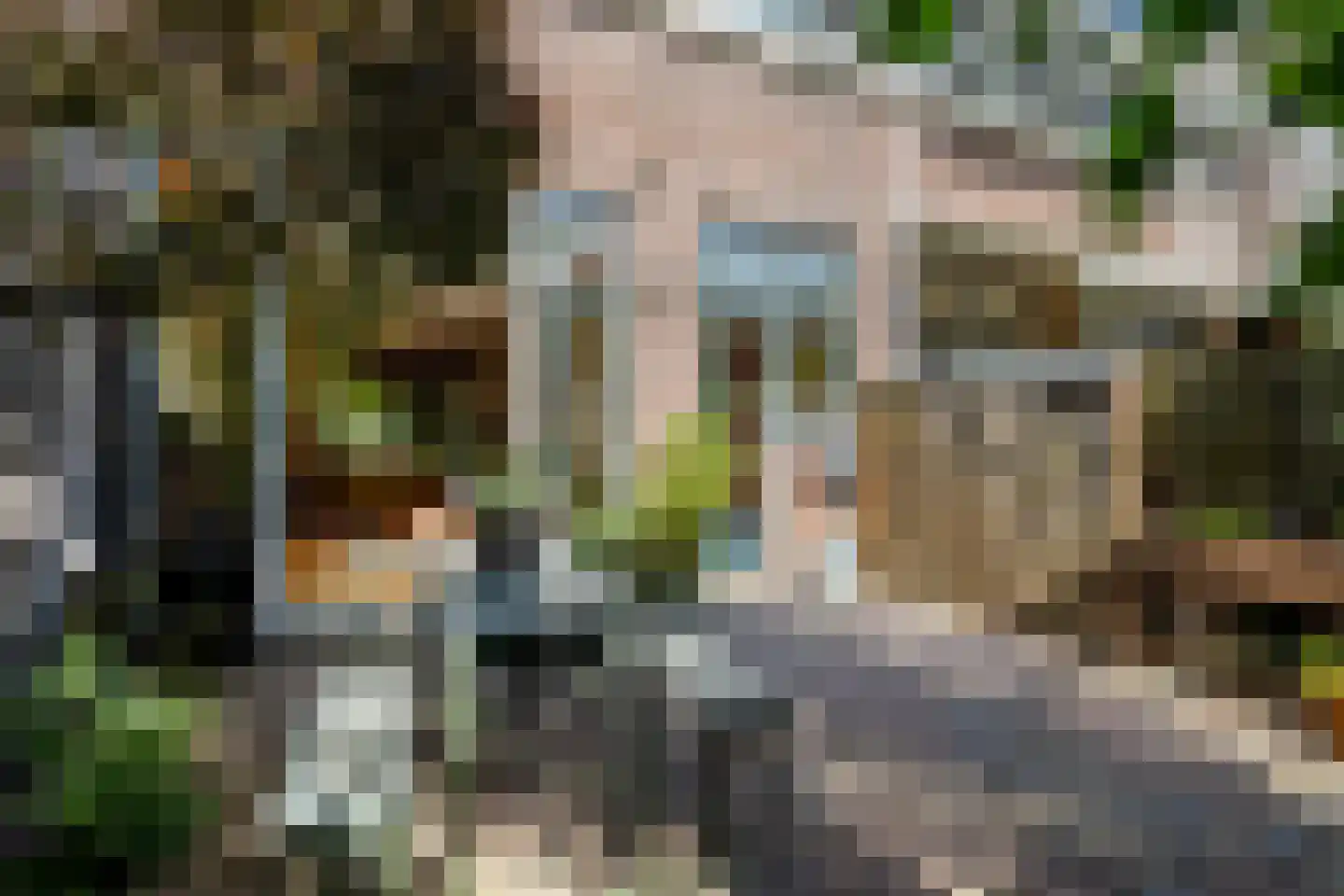 Elisabethlaan 4 Rotterdam thumbnail 17