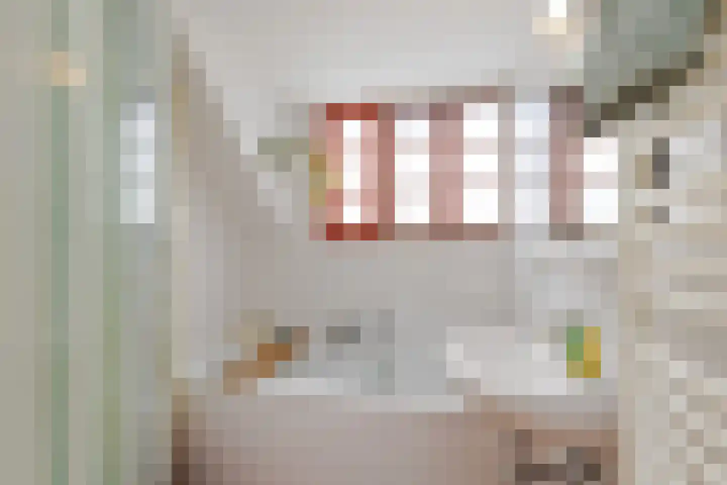 Elisabethlaan 4 Rotterdam thumbnail 29
