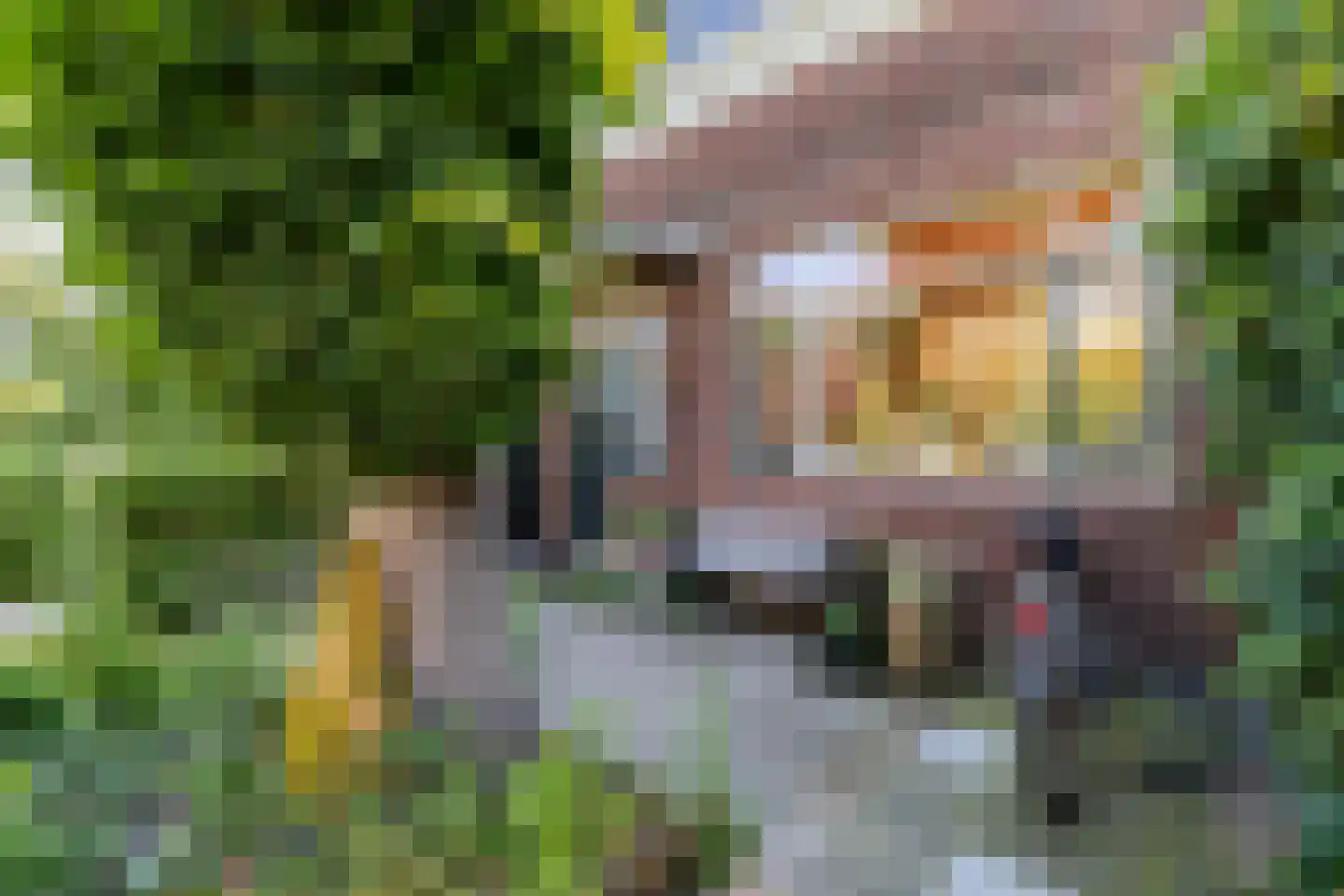 Elisabethlaan 4 Rotterdam thumbnail 39